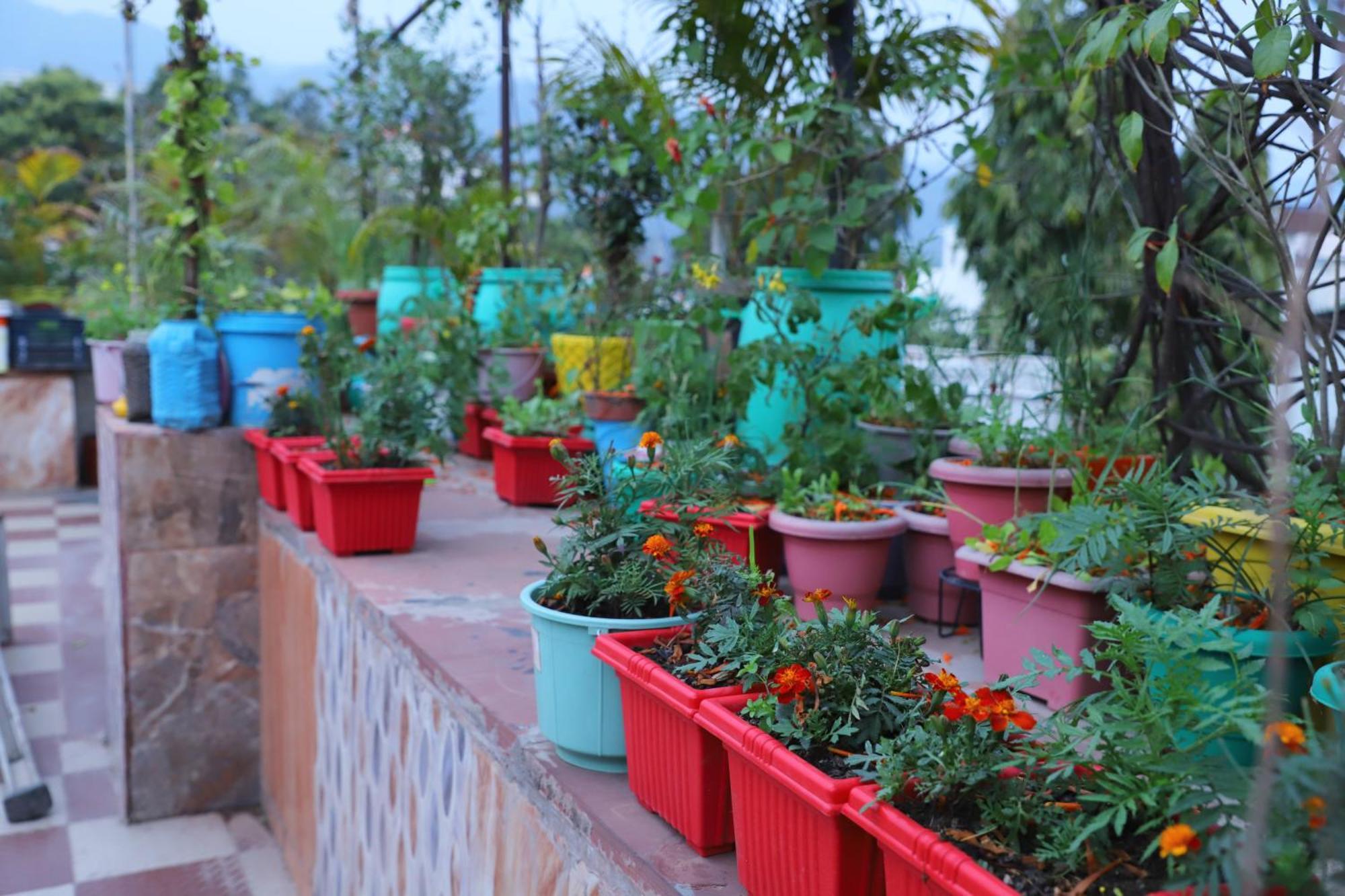 Madhuban Homestay, Natraj Chowk Rishīkesh Extérieur photo